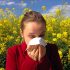 Allergies and Hearing Loss
