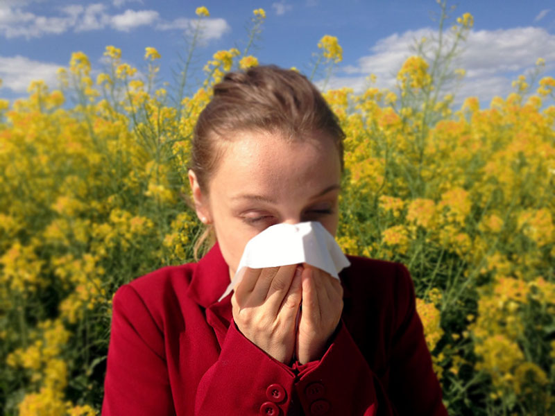 Link Between Allergies and Hearing Can Allergies Cause Hearing Loss?