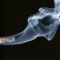 The Impact of Cigarette Use on Hearing Health