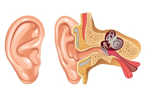 Otosclerosis Hearing Loss  Stapedectomy Surgery Boynton Beach, FL